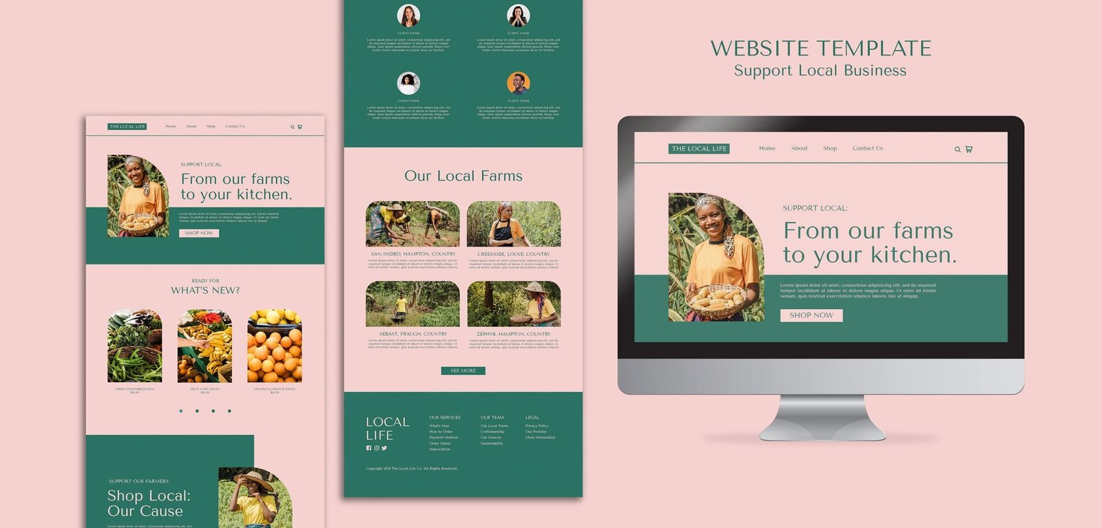 Website design portfolio sample