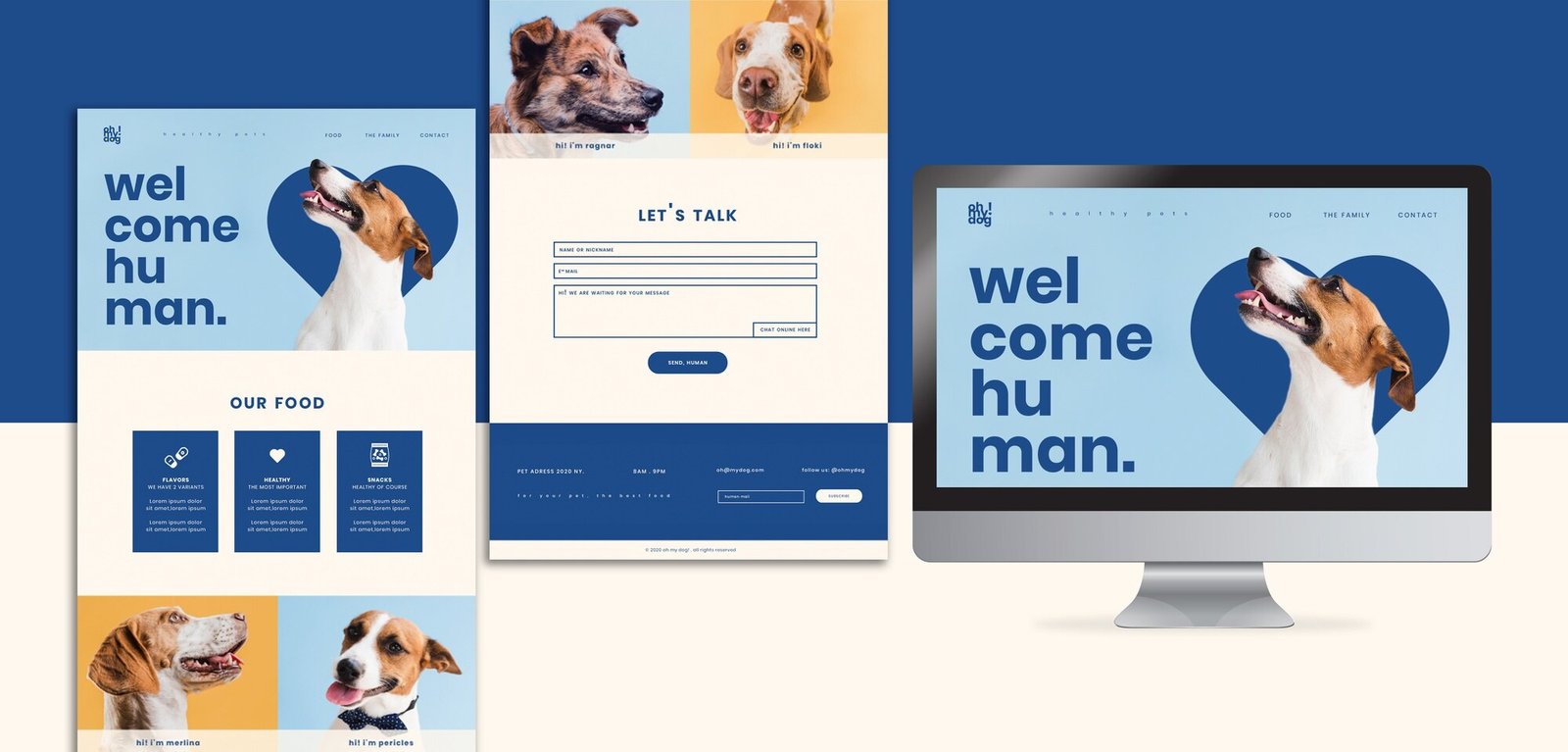 Website design portfolio sample